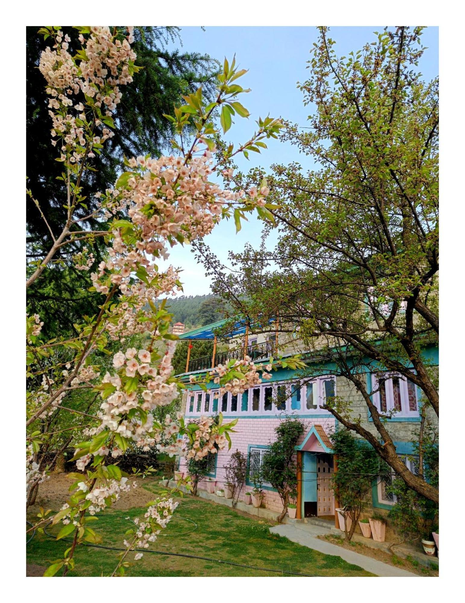 Farmvilla Homestay Kalpa Exterior photo